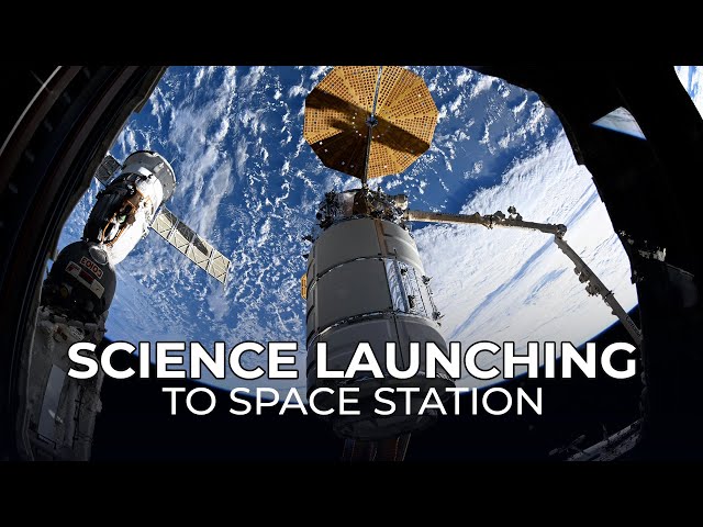 NASA's Science Launch on Northrop Grumman CRS-23 Mission